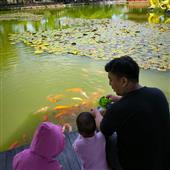 Lễ 