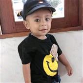 T1 