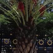 Thù