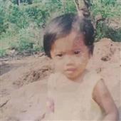 Dự 