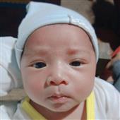 Bản