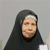 Hổ 