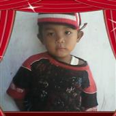 Cur