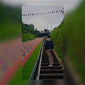 Giả