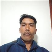 Bản
