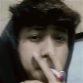 Máy