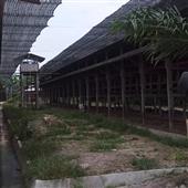 Côn