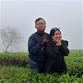 Biể