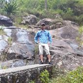 Dự 