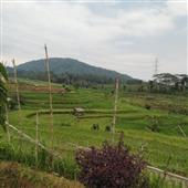 TỐC