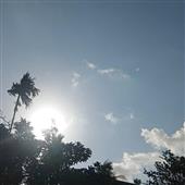 Chú