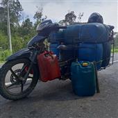 Bản
