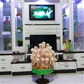 Gấu