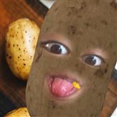 Chỉ