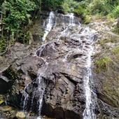 Luậ
