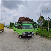 Bản