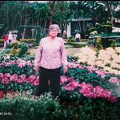Hội