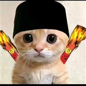 VỪN