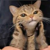 Thà