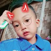 Dự 