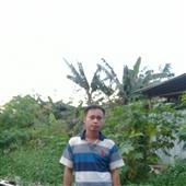 Giả