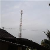 Ngũ