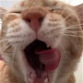 Các