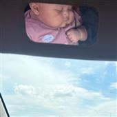 Tỷ 
