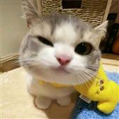 Phụ