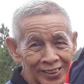 Máy
