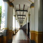 Ngọ