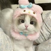 Trự