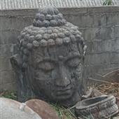 Tỷ 