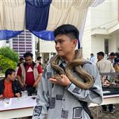 Ala