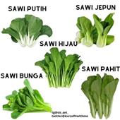Đá 