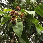 Kết