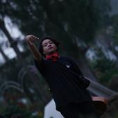 giả