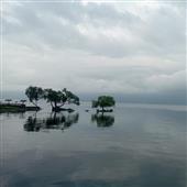 Lịc