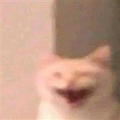 Cas