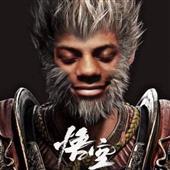 Fin
