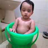 Giả