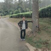 Cây