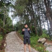 NoL