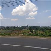Lễ 