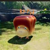 Bón