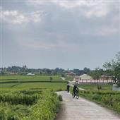 Tải