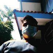 Cuộ