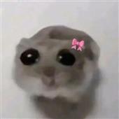 Kèo