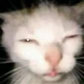 Lịc