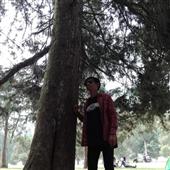 SIÊ